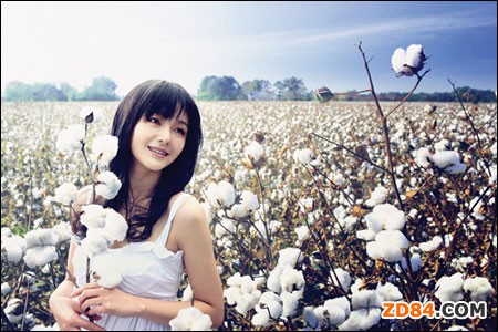 美棉生長:現(xiàn)蕾率98% 現(xiàn)鈴率74% 裂鈴率9%