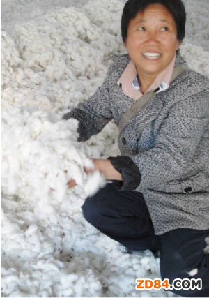 ��(gu��)��(n��i)����ُ(g��u)�N(xi��o)�������