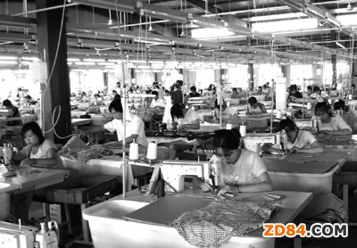 ʮ��Ҋ(ji��n)�C�Ї�(gu��)�������I(y��)�|(zh��)����(j��ng)��(zh��ng)������