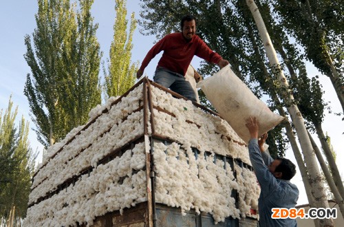 ����P�ʈF���½��{��