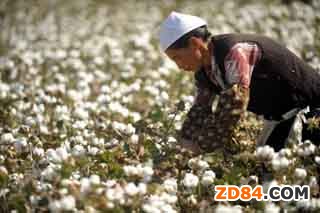 �м�(li��n)����ǰ�޻������c�w�Ƒ�(y��ng)���r�{(di��o)��