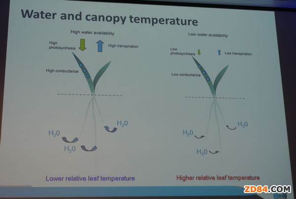 �Ĵ������޻�����A�M�Y(ji��)�� �ИI(y��)����