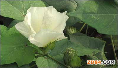 �����޻��r���ߏ�