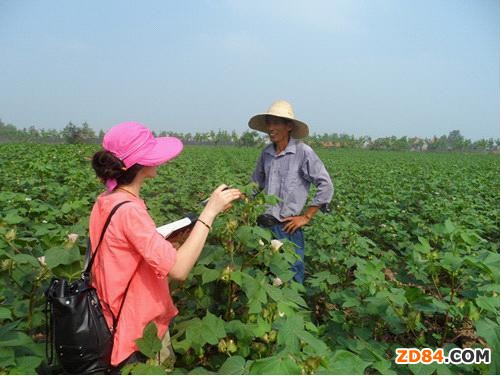 �����޻����������� ����ԭ�ώ���