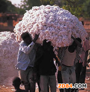 ӡ���޻���ԃί�T���������{�a���A��