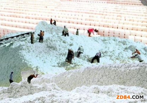 新疆召開工作會議部署棉花收儲運銷工作