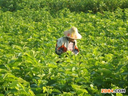 �V���eꖿh���O��һ��35Ԫ/���� �Q��Ӱ�?y��ng)q�� 