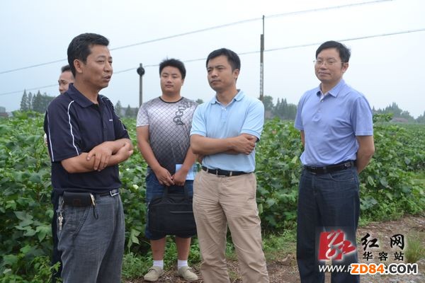 ��(gu��)���޻������{(di��o)�нM�������{(di��o)���޻�����