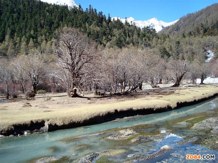 �㽭���������_�����Q���a(ch��n)���^��