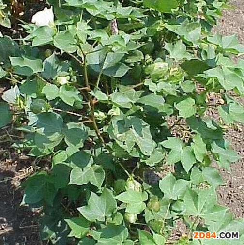 ����&ldquo;���&rdquo;�ރr��(w��n)������