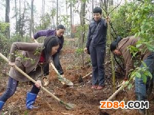 ����еخa(ch��n)��q��Ʒ���w�|(zh��)���^��