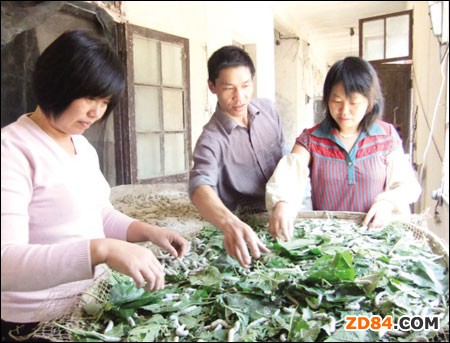 �㽭���d����9��25�հl(f��)�N��B(y��ng)�����Q