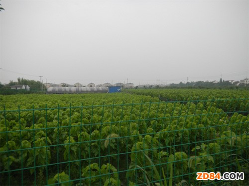 �㽭ͩ�l(xi��ng)���ׂ�(g��)ʡ��(j��)��ɫ�r(n��ng)�I(y��)��Ʒ�@ͨ�^ʡ��(j��)�(y��n)��