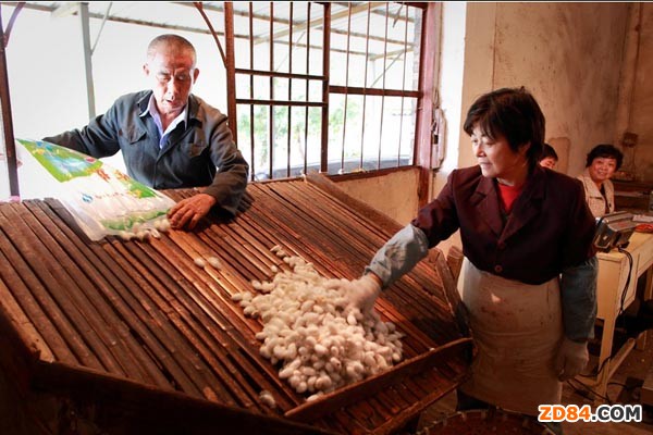 �ؑc��Ϫ�h���_�Qɣ�l(f��)չ�����O��ُ������