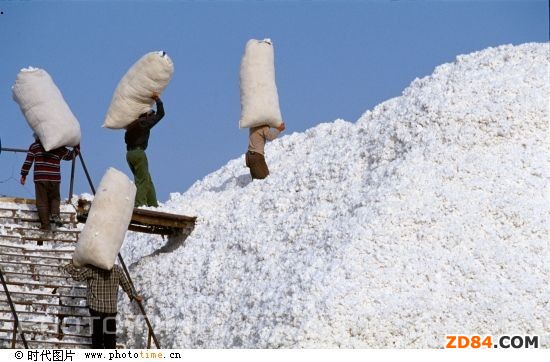 �����½����A(y��)Ӌ(j��)���a(ch��n)320�f(w��n)�� ��(zhu��n)�Һ������Ʈa(ch��n)�I(y��)����