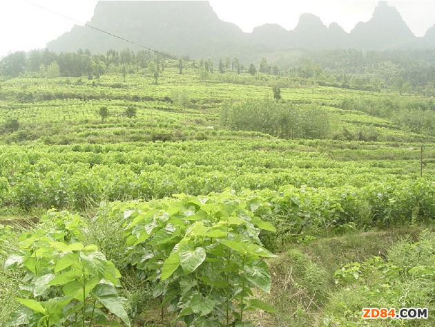 �ؑcǭ���^(q��)�ӏ�2012���B(y��ng)�Q�O(sh��)ʩ���O(sh��)