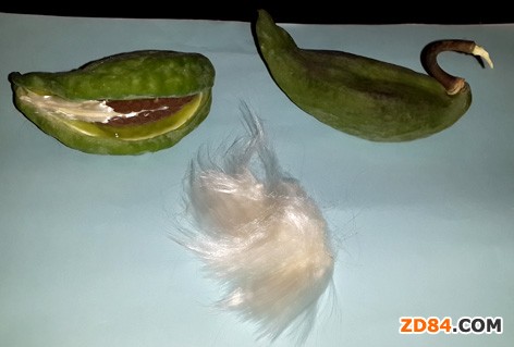 ���޹����������w�S