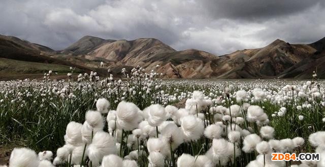 Խ�ϼ����I(y��)�����޻���(y��n)����ه(l��i)�M(j��n)��