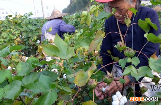 �㽭�؎X�޻���?j��)r(ji��)�R�� ���ɿ�Ӱ�׌���r(n��ng)&ldquo;���܂�&rdquo;