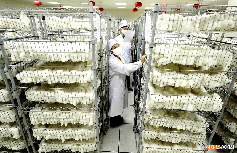 ���F��һ���޻����C�z���10�f��