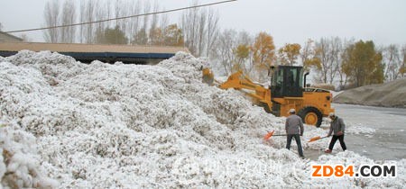 棉花:棉市“順價(jià)銷售”難成行