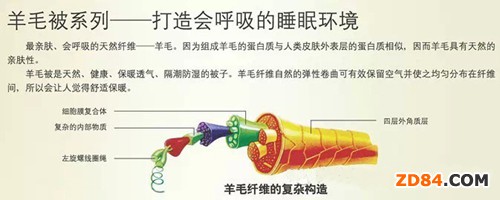 ��ë��---��Щ�㲻֪������