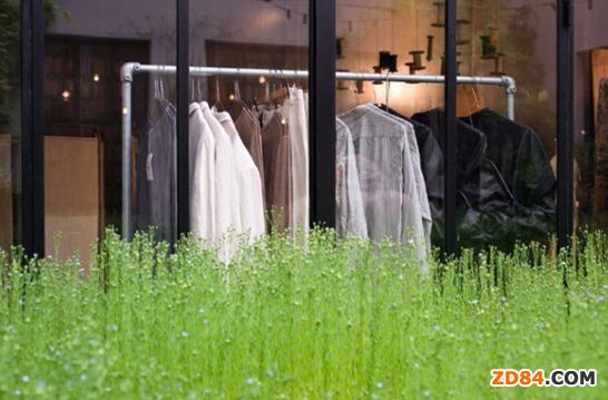 3.12ֲ�九(ji��)�����Gɫ ���ѵ�̼���h(hu��n)�����ʽ