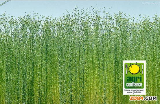 ���ҵ�315 ��Ʒ�|����׌�����������