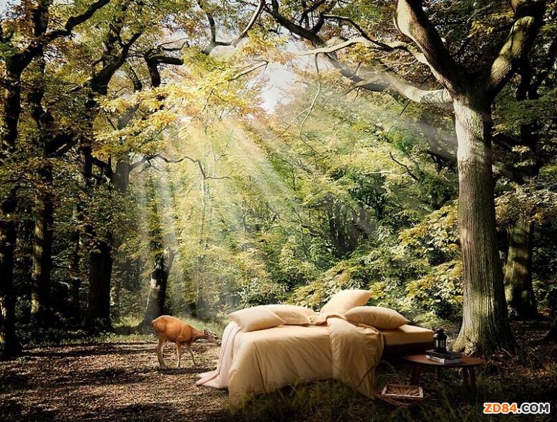 ��ϲ��VIP��ɫ��Ʒ��ɫ�������S�Ķ���