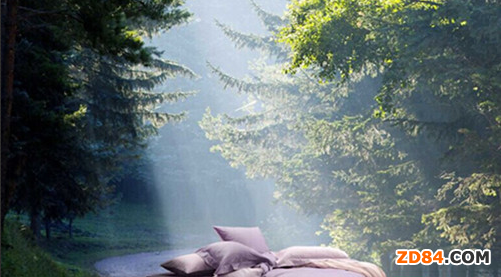 ��ϲ��VIP������(j��ng)��֮����ϯ���Ҽ��I(y��)