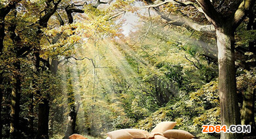 ��ϲ��VIP������(j��ng)��֮����ϯ���Ҽ��I(y��)