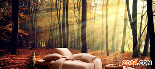 ��ϲ��VIP������(j��ng)��֮����ϯ���Ҽ��I(y��)