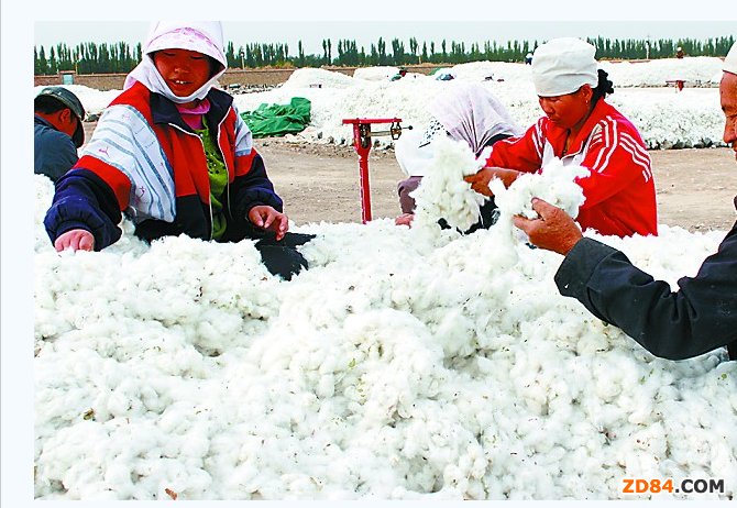 ����(n��i)���ރr��U��